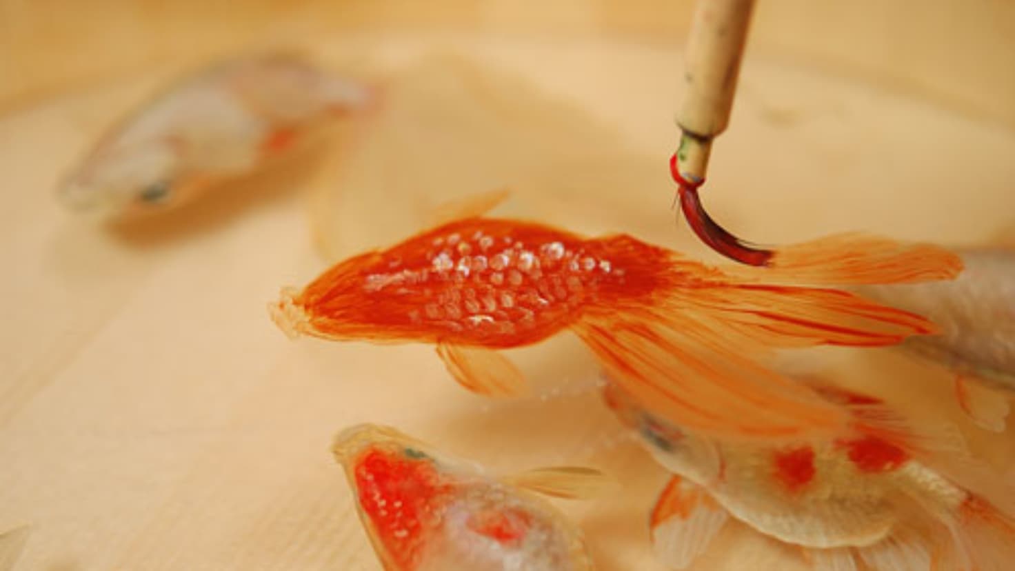 金魚の神秘性に魅了された
金魚絵師、深堀隆介。初となる
公立美術館での個展が平塚で開催
